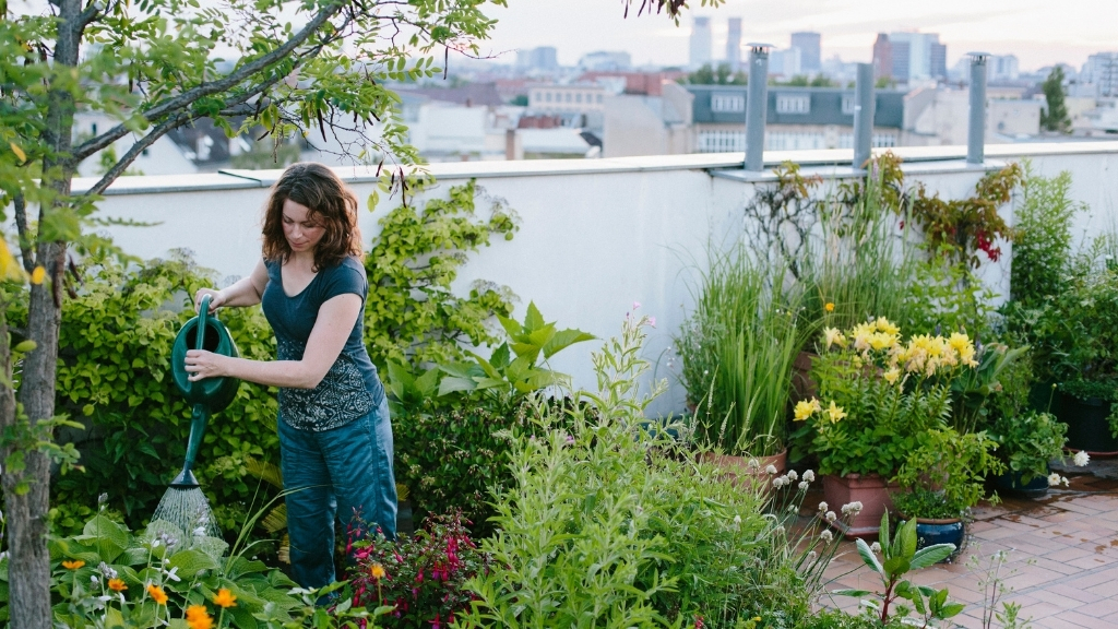 Roof top garden